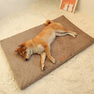 Hund schläft auf braunem, weichem Hundebett auf Teppich, gemütlich, Haustierbedarf, Shiba Inu.