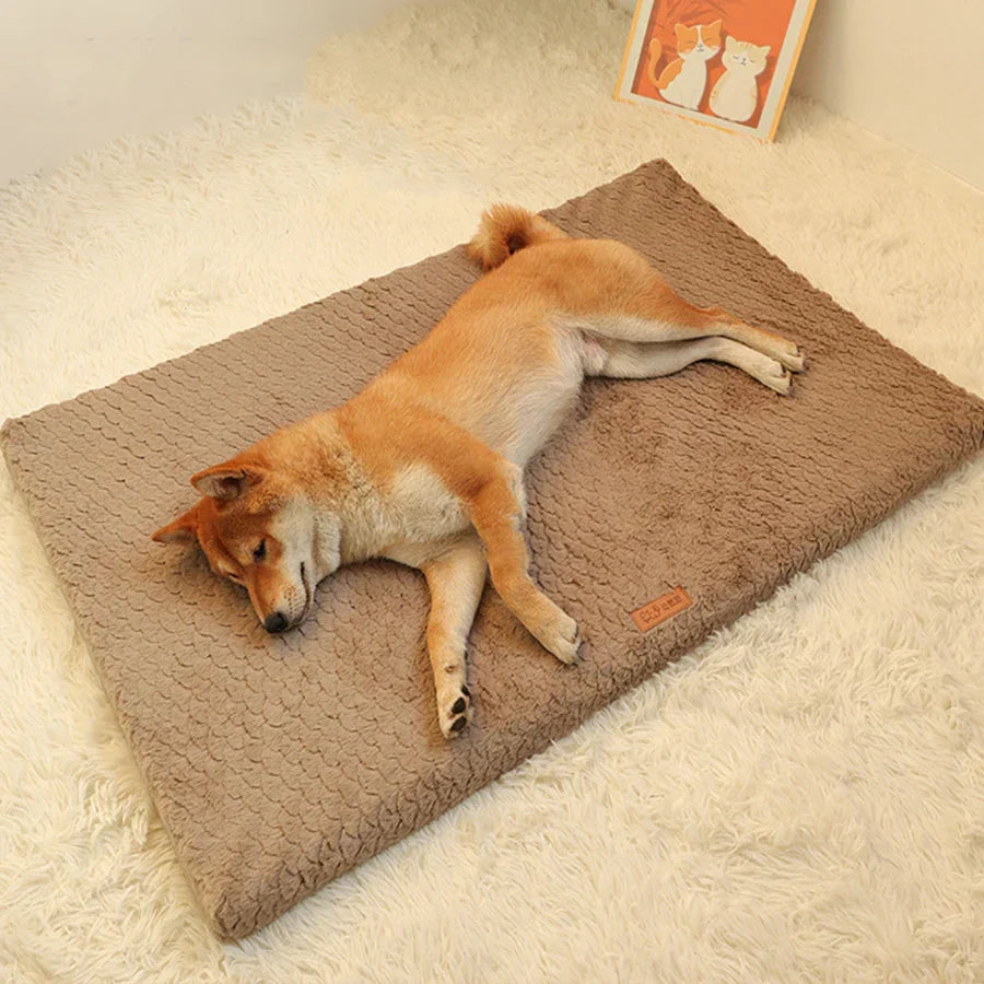 Hund schläft auf braunem, weichem Hundebett auf Teppich, gemütlich, Haustierbedarf, Shiba Inu.