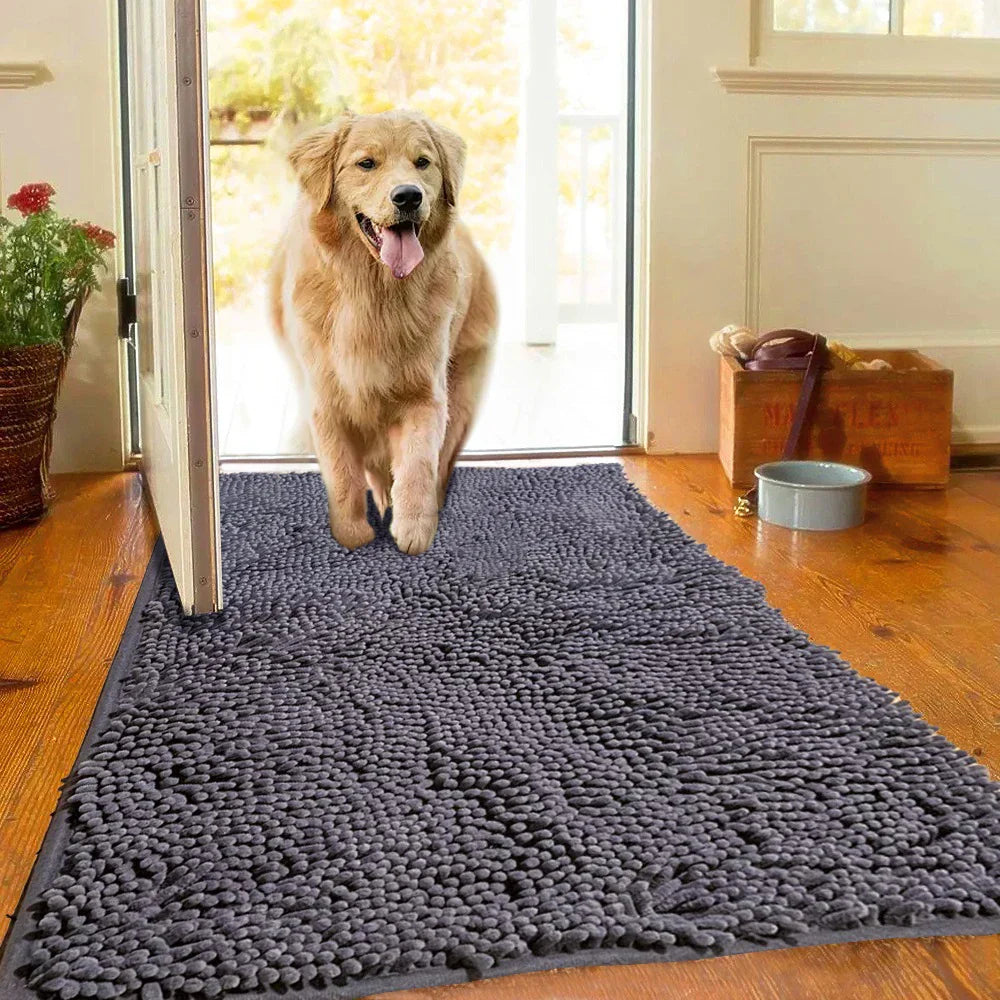 Hund auf grauem Mikrofaser-Teppich im Flur, rutschfest, saugfähig, Haustierbedarf.