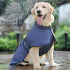 Golden Retriever im wasserdichten Hundemantel sitzt im Regen. Perfekt für Outdoor-Abenteuer, schützt vor Nässe und hält warm. Ideal für Hunde.