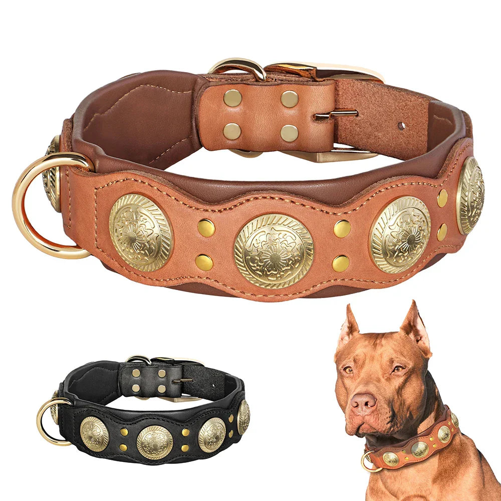 Braunes Lederhalsband für Hunde mit goldenen Verzierungen, robust und stilvoll.