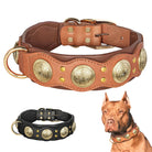 Braunes Lederhalsband für Hunde mit goldenen Verzierungen, robust und stilvoll.