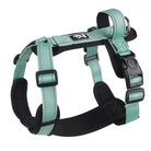 Grünes Hundegeschirr, verstellbar, robustes Nylon, reflektierend, für sicheres Gassigehen.