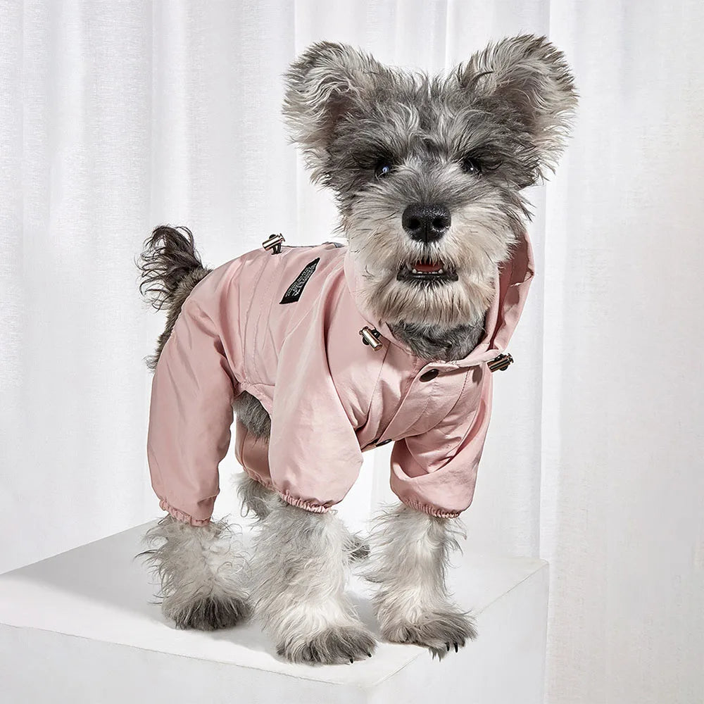 Hund in rosa Regenjacke, stilvoll und wetterfest, ideal für Spaziergänge. Perfekte Hundebekleidung, modisch und funktional für alle Jahreszeiten.