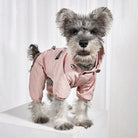 Hund in rosa Regenjacke, stilvoll und wetterfest, ideal für Spaziergänge. Perfekte Hundebekleidung, modisch und funktional für alle Jahreszeiten.