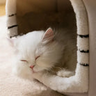 Weiße Katze schläft in weichem, beigem Katzenbett, gemütlich und entspannt.