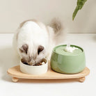 Katzennapf-Set mit Holztablett, Keramikschalen, ideal für Katzenfutter und Wasser. Stilvolles Design, leicht zu reinigen, rutschfest.