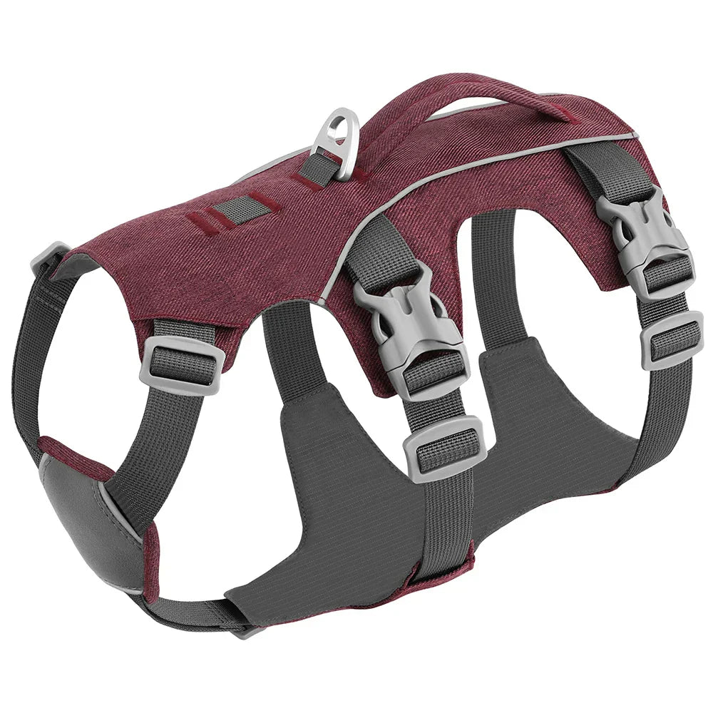 Rotes Hundegeschirr, verstellbar, strapazierfähig, mit Schnallen, für Outdoor-Aktivitäten.