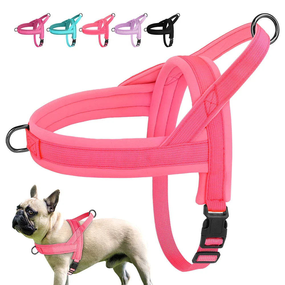 Rosa Hundegeschirr aus Nylon, verstellbar, für kleine Hunde, mit Schnalle und D-Ring.