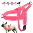 Rosa Hundegeschirr aus Nylon, verstellbar, für kleine Hunde, mit Schnalle und D-Ring.