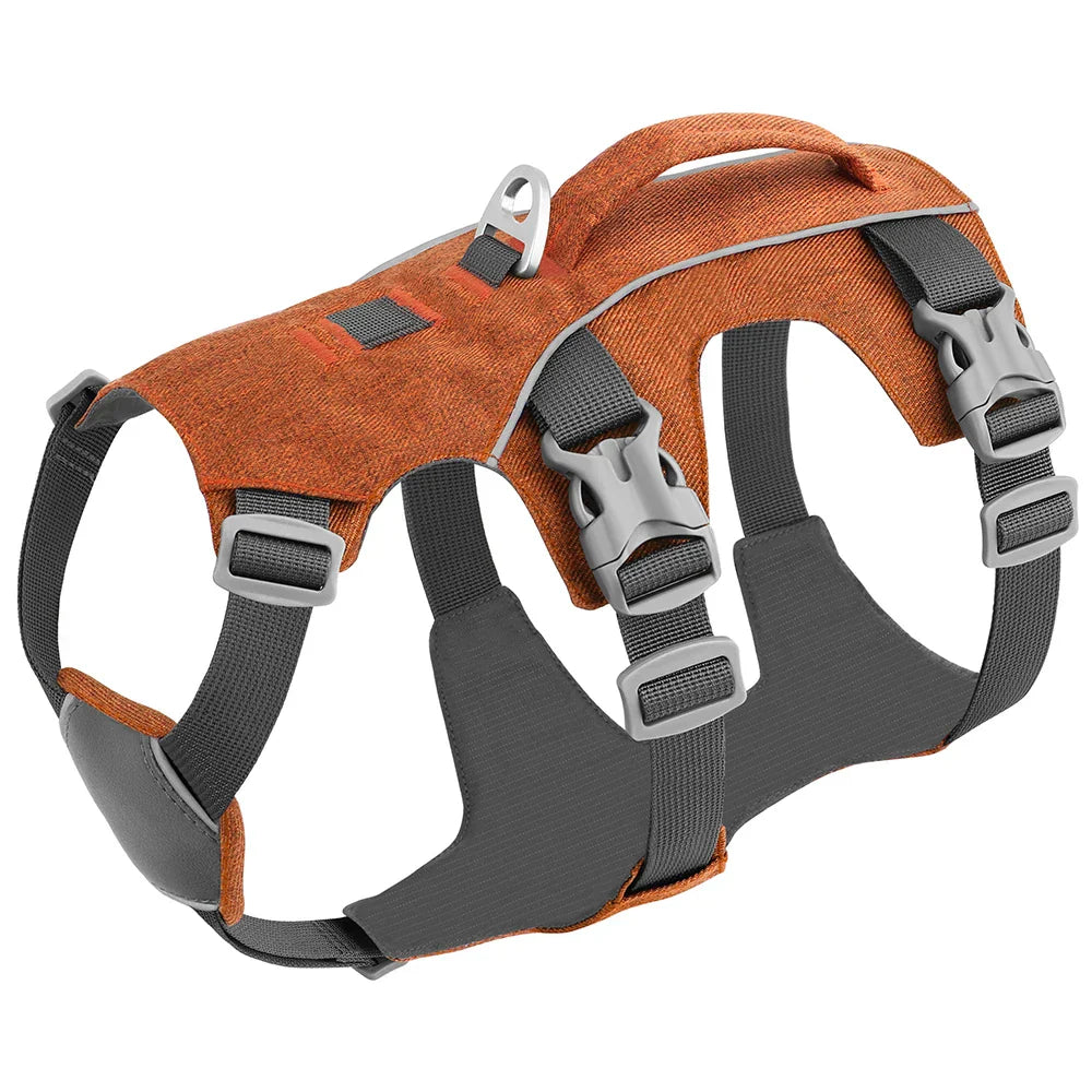 Orange Hundegeschirr, verstellbar, robustes Material, mit Griff und Schnallen für Outdoor-Aktivitäten.