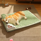 Corgi schläft auf grünem Hundebett, weiche Decke, gemütlich, Haustierbedarf, Wohnzimmer.