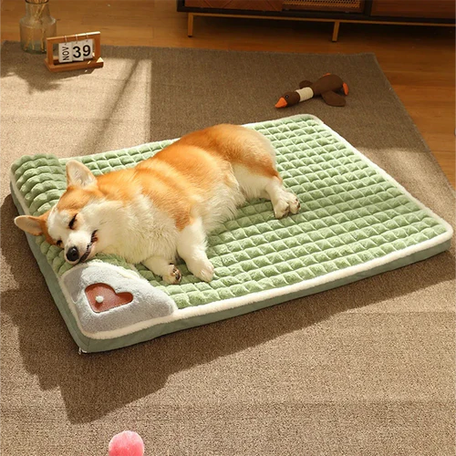 Corgi schläft auf grünem Hundebett, weiche Decke, gemütlich, Haustierbedarf, Wohnzimmer.
