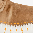 Brauner Hund mit Fellpflege-Diagramm, orange Pfeile, Hautfalten, Tierpflege, Nahaufnahme.