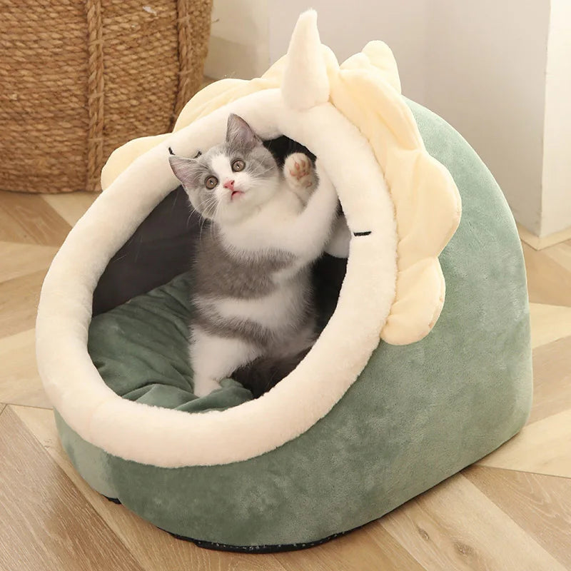 Graues Kätzchen in grünem, plüschigem Katzenbett mit beigem Rand, gemütlich und verspielt.