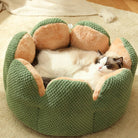 Grünes Katzenbett aus Plüsch, rund, mit schlafender Katze, gemütlich, Haustierbedarf.