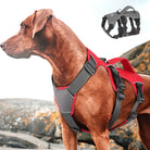 Braunes Hundegeschirr, rot-grau, robust, verstellbar, für Outdoor-Aktivitäten, große Hunde.