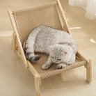 Graue Katze auf einem beige Kratzbrett aus Holz, Katzenmöbel, Kratzmöbel, Katzenbett.
