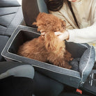 Brauner Pudel im grauen Autositz-Hundebett, sicherer Transport, bequemes Reisen.