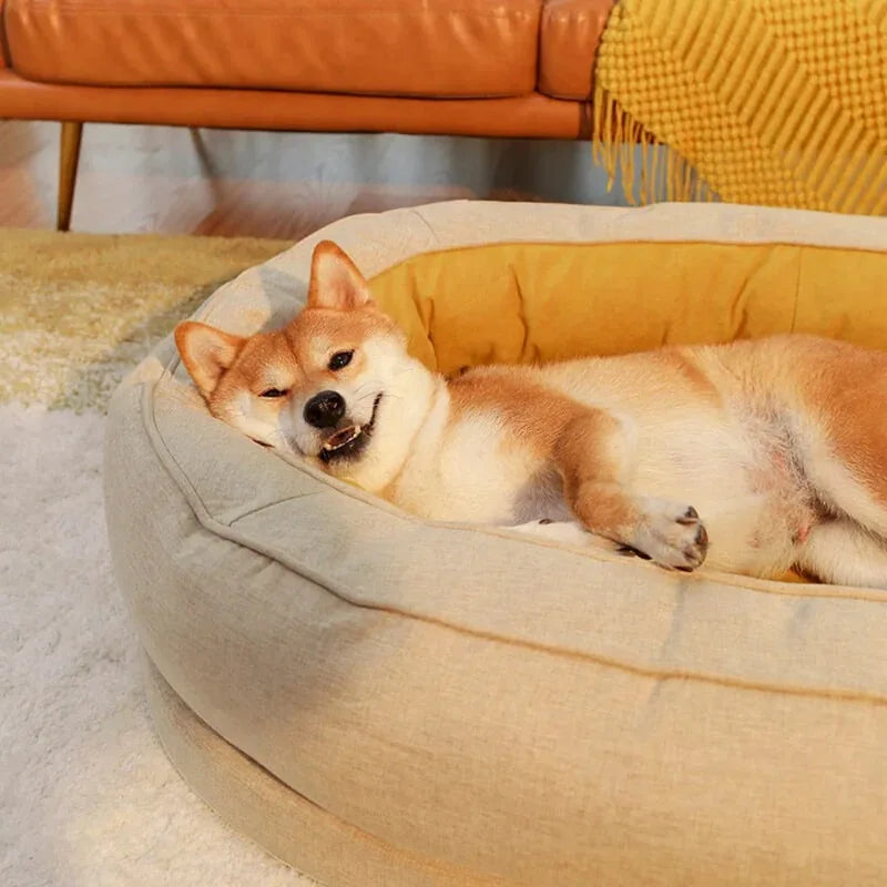 Hund liegt entspannt in beigem Hundebett, Wohnzimmer, Shiba Inu, gemütlich, Heimtierbedarf.