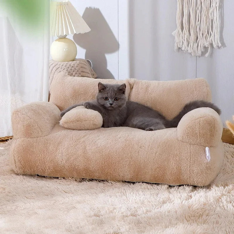 Graues Kätzchen auf beigem Plüschsofa, gemütliches Katzenbett, Wohnzimmerdekoration.