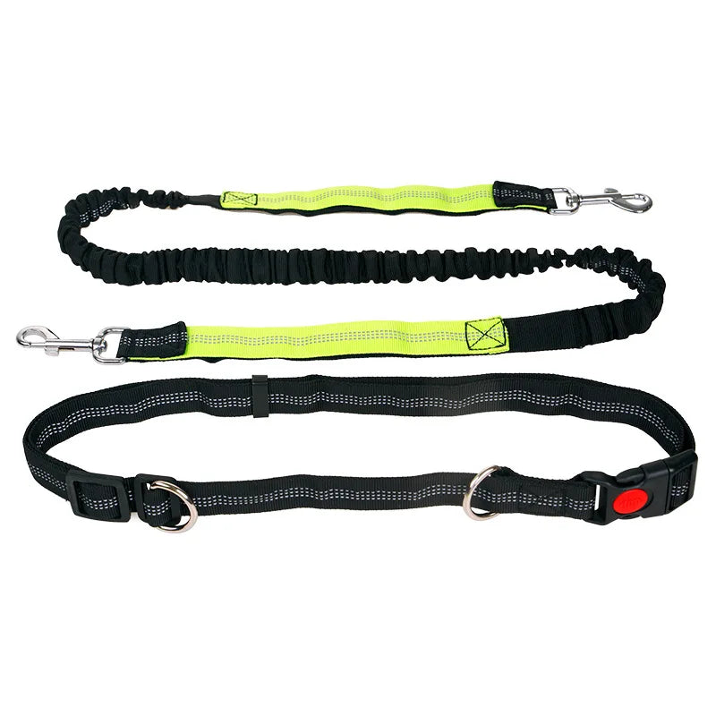 Schwarze und gelbe Hundeleine mit elastischem Bungee, reflektierend, verstellbar, robust.
