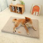 Hund auf beigem Hundebett, Shiba Inu, weicher Teppich, gemütliches Wohnzimmer, Haustierkomfort.