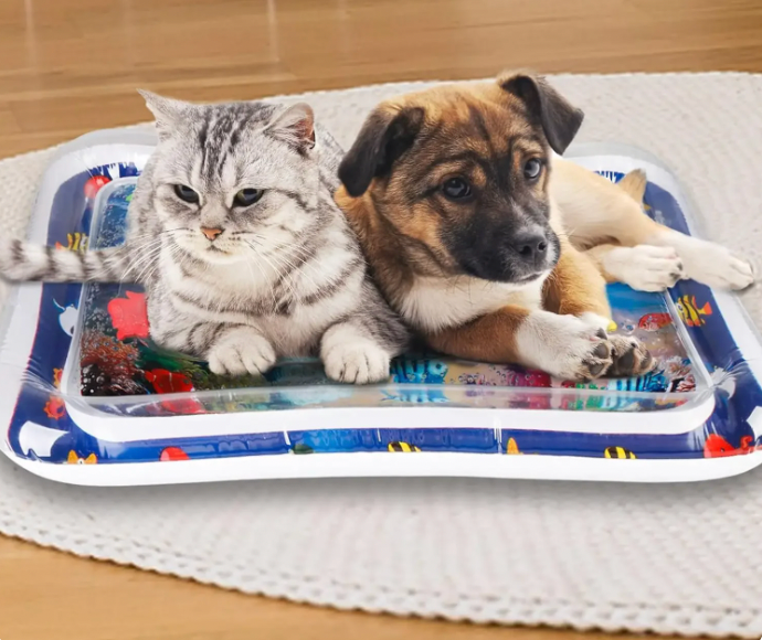 Katze und Hund auf buntem Wasserspielmatte, liegend auf Teppich. Haustierfreundliche Spielmatte, ideal für interaktive Tierbeschäftigung.