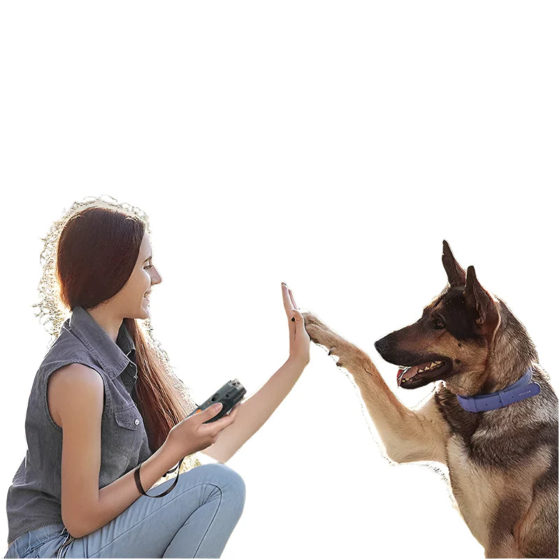 Frau trainiert Schäferhund mit Fernbedienung, Hundetraining, Kommunikation, Interaktion.
