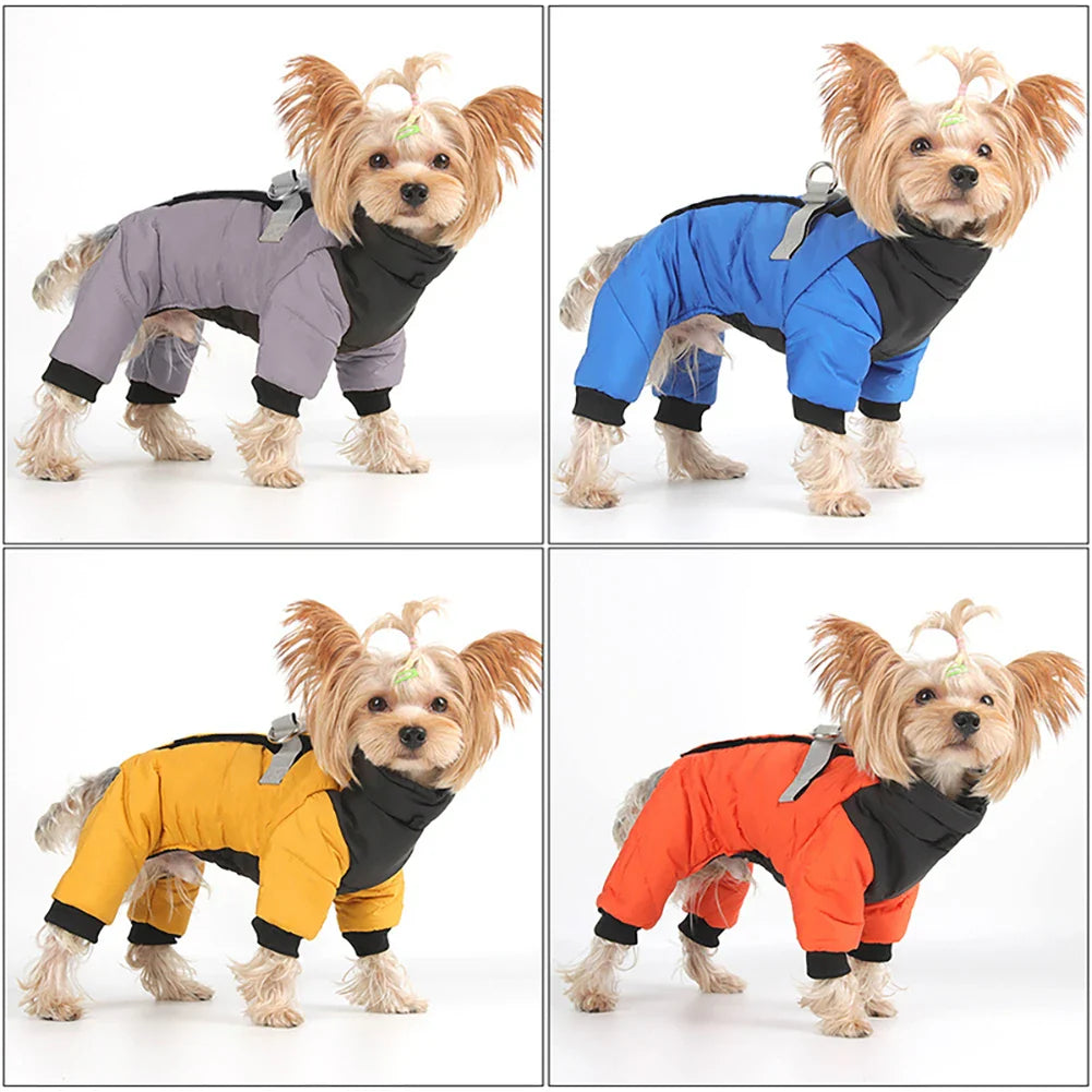 Hundemantel für kleine Hunde in vier Farben: Grau, Blau, Gelb, Rot. Wasserdicht, warm, ideal für Herbst und Winter. Perfekt für modische Haustiere.