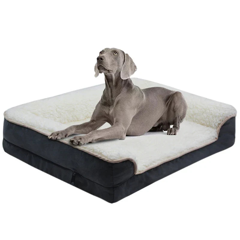 Hund auf orthopädischem Hundebett, grau, Plüsch, Komfort, Haustierbett, rutschfest, waschbar.