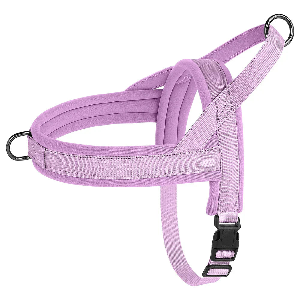 Lila Hundegeschirr, verstellbar, gepolstert, robustes Nylon, für kleine bis mittelgroße Hunde.