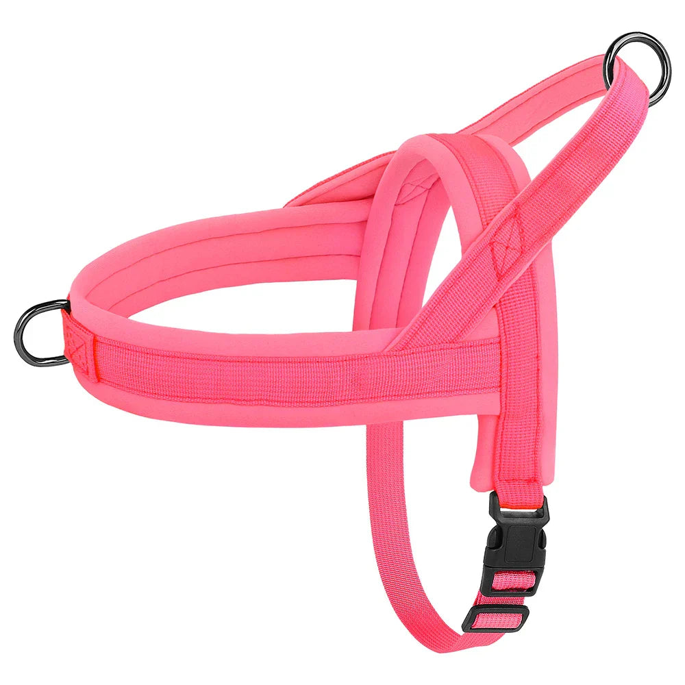 Neonpinkes Hundegeschirr, verstellbar, gepolstert, robustes Nylon, für kleine bis mittelgroße Hunde.