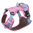 Rosa Hundegeschirr, verstellbar, atmungsaktiv, mit blauen Riemen, für kleine bis mittlere Hunde.