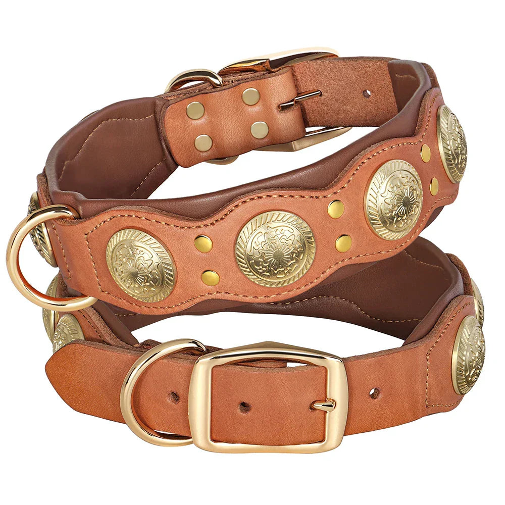 Braunes Lederhalsband mit goldenen Verzierungen, Hundehalsband, robust, stilvoll, hochwertig.