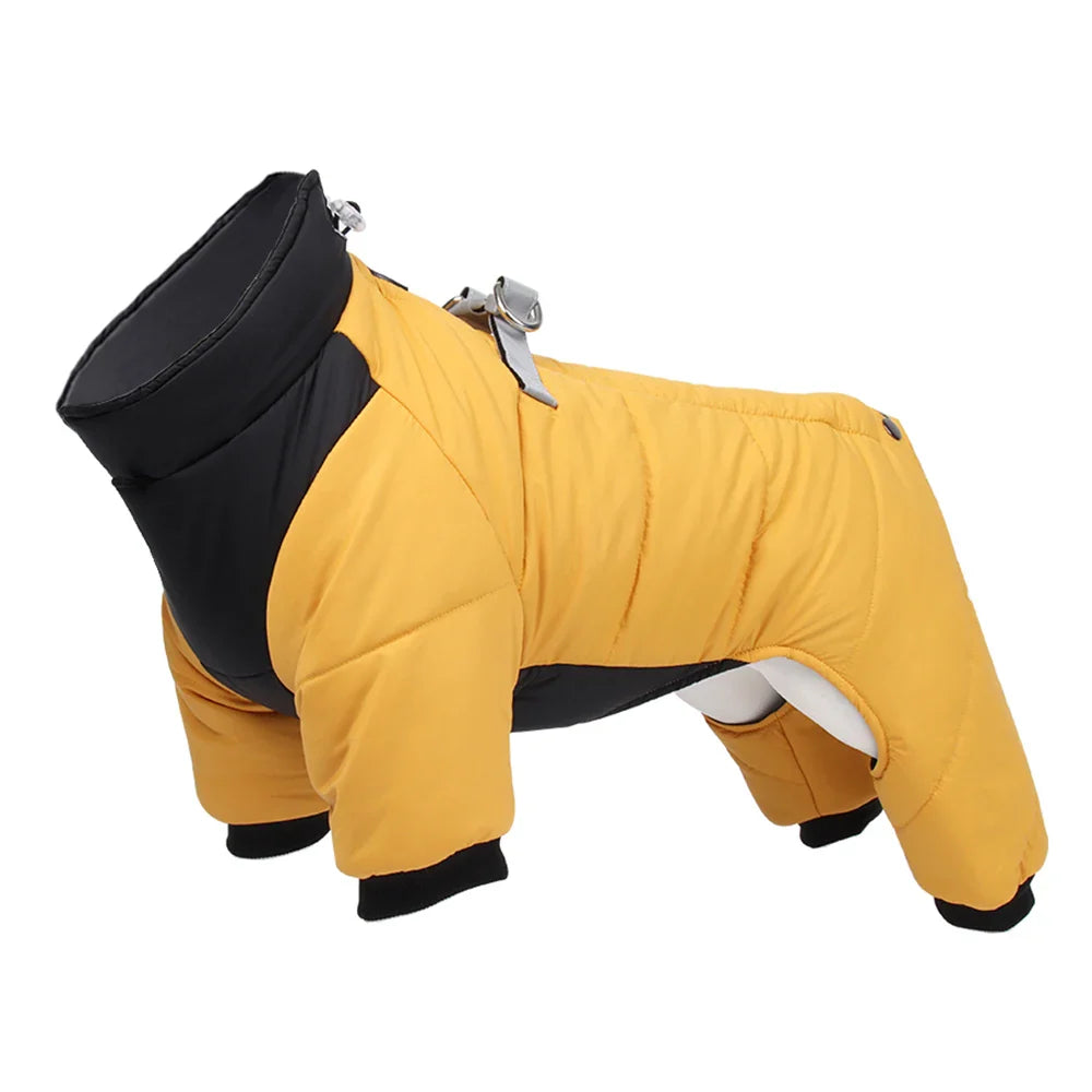 Warmer Hundemantel in Gelb und Schwarz, wasserdicht, ideal für kaltes Wetter. Perfekt für kleine bis mittelgroße Hunde. Hundebekleidung online kaufen.