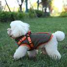 Weißer Pudel im Outdoor-Hundemantel mit Geschirr, läuft auf grünem Rasen. Perfekt für Spaziergänge, Hundemode, Haustierbekleidung.