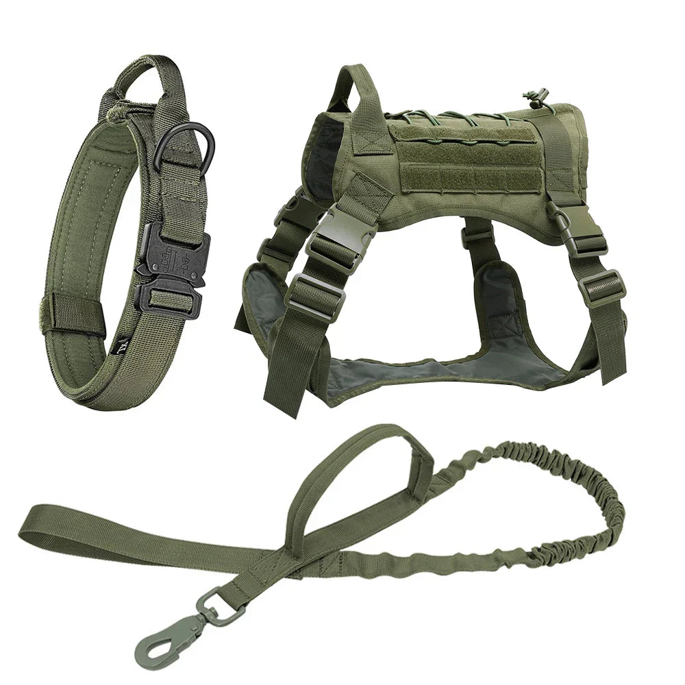 Grünes Hundegeschirr-Set mit Leine und Halsband, verstellbar, robust, für Outdoor-Aktivitäten.