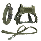 Grünes Hundegeschirr-Set mit Leine und Halsband, verstellbar, robust, für Outdoor-Aktivitäten.