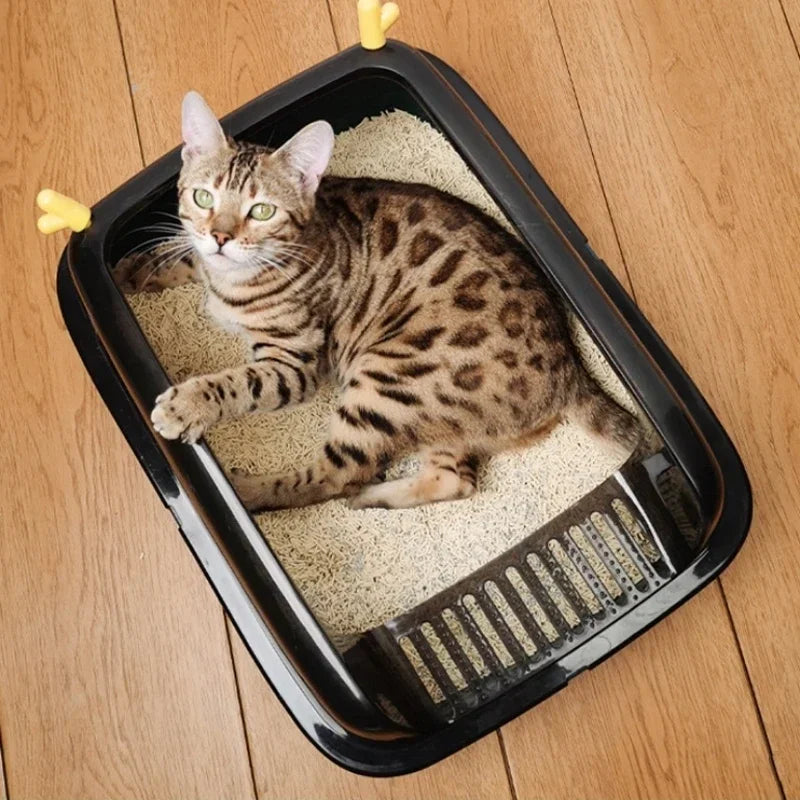 Bengalkatze in schwarzer Katzentoilette auf Holzboden, Tierbedarf, Haustierzubehör.
