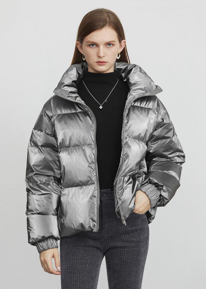 Damen Winterjacke, silber, Stehkragen, Daunenmantel, modisch, warm, kurz, elegant, vielseitig, ideal für kalte Tage, trendige Oberbekleidung.