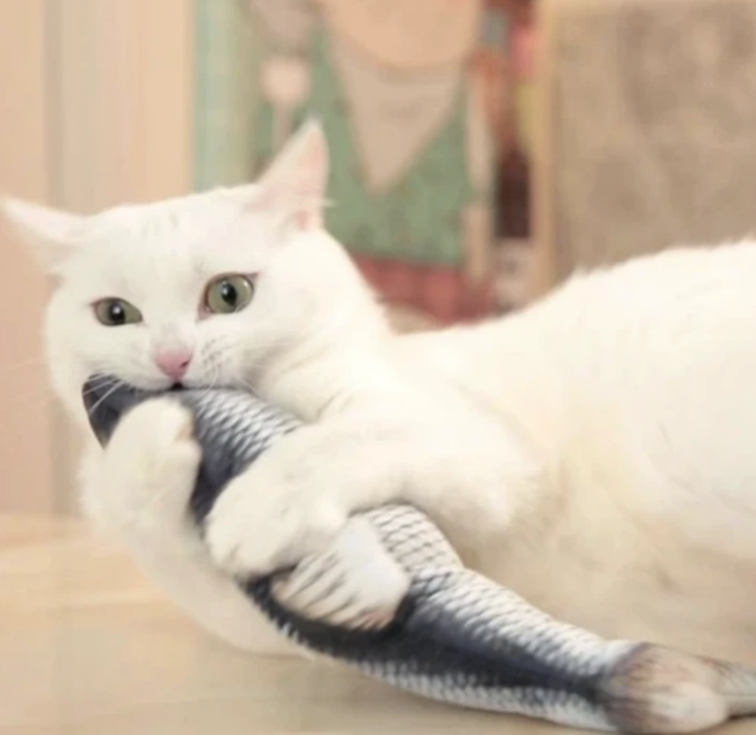 Weiße Katze spielt mit zappelndem Fischspielzeug, gefüllt mit Katzenminze.
