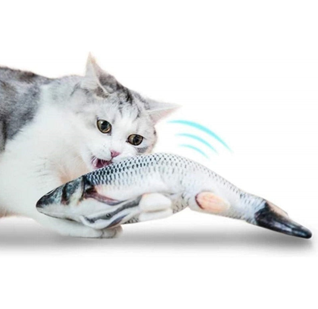 Katze spielt mit zappelndem Fischspielzeug, gefüllt mit Katzenminze, interaktives Katzenspielzeug.