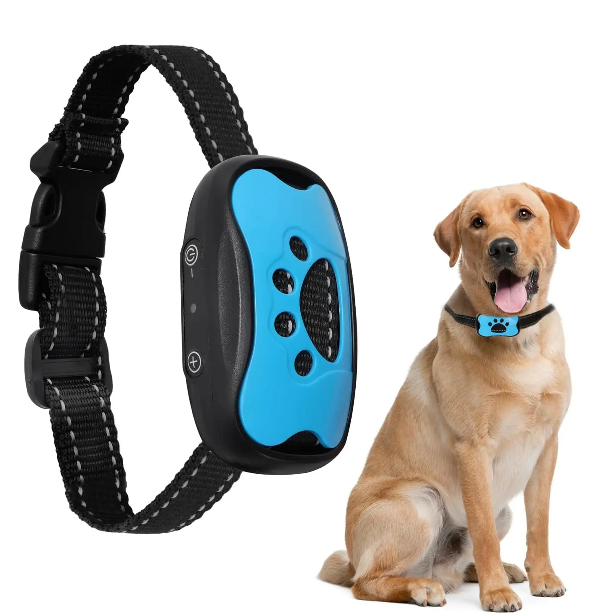 Zeus Anti-Bell-Halsband für Hunde, blau, verstellbar, effektiv gegen Bellen, mit sicherem Vibrationsmodus, ideal für Hundeerziehung.