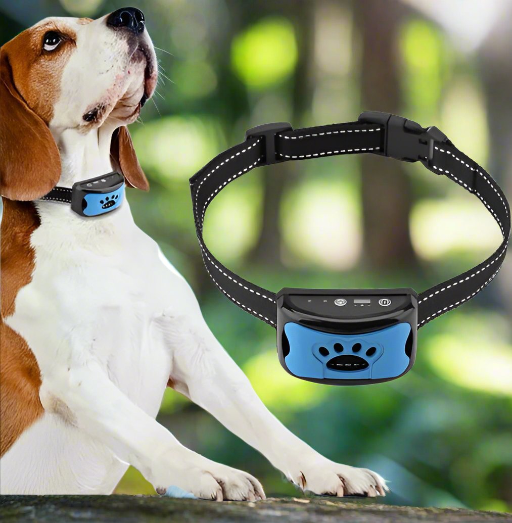 Zeus Anti-Bell-Halsband für Hunde, blau-schwarz, verstellbar, effektiv gegen Bellen, mit Vibrations- und Tonfunktion, ideal für Training.
