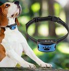 Zeus Anti-Bell-Halsband für Hunde, blau-schwarz, verstellbar, effektiv gegen Bellen, mit Vibrations- und Tonfunktion, ideal für Training.