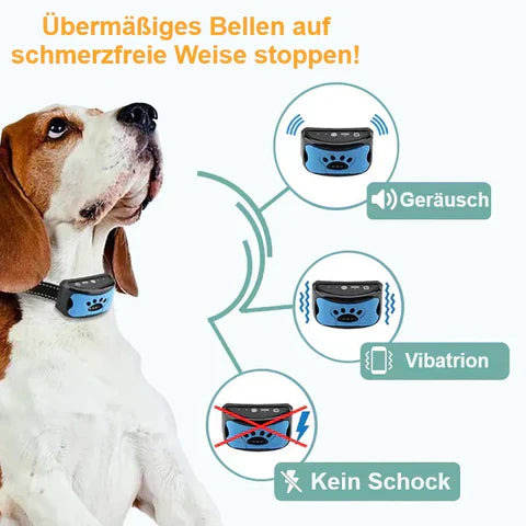 Zeus Anti-Bell-Halsband für Hunde, geräusch- und vibrationsbasiert, schmerzfrei, effektiv gegen übermäßiges Bellen, kein Schock, sicher und komfortabel.
