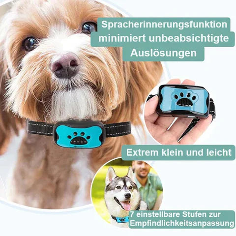 Anti-Bell-Halsband für Hunde, klein und leicht, mit Spracherinnerungsfunktion. 7 einstellbare Empfindlichkeitsstufen. Ideal für effektives Training.