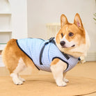 Corgi im blauen Hundemantel, modisches Haustierzubehör, bequem und stilvoll, ideal für kaltes Wetter, Hundebekleidung online kaufen.