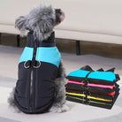 Hund in blau-schwarzer Winterjacke mit D-Ring, sitzt neben einem Stapel bunter Hundejacken. Perfekte Hundebekleidung für kalte Tage.